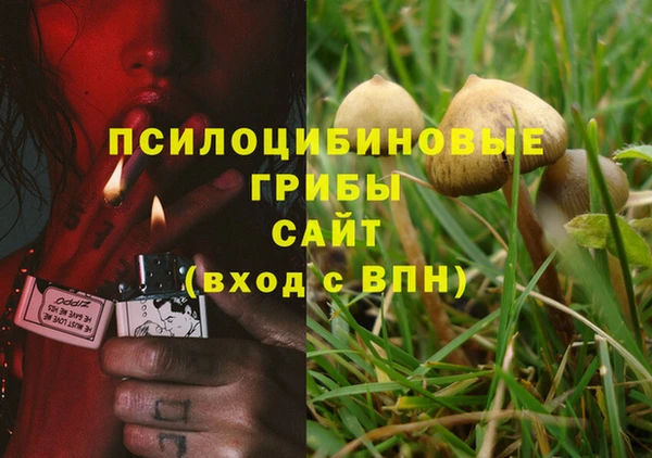 скорость Алзамай