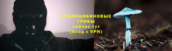 скорость Алзамай